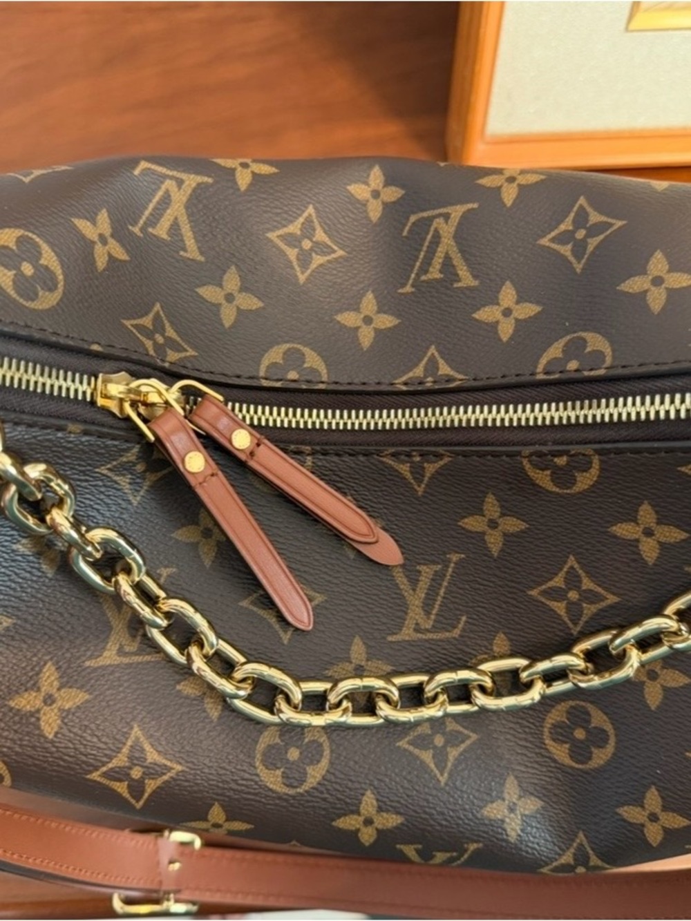 Authentic, Louis Vuitton, Loop Hobo Handbag - Picture 2 of 9